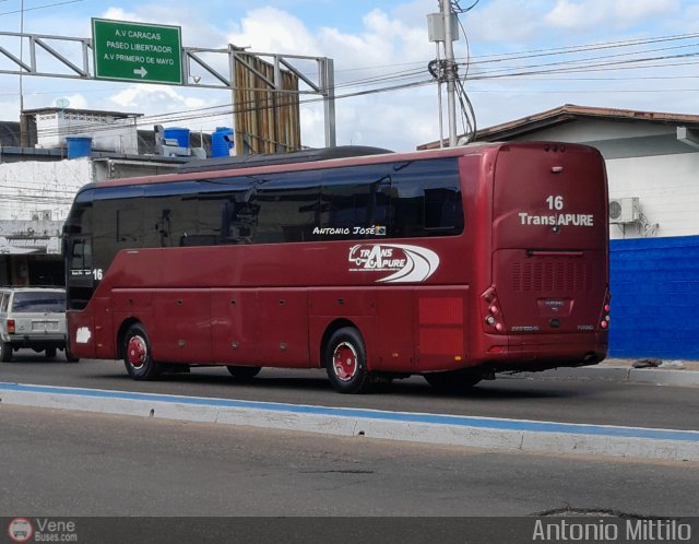 TransApure 16 por Antonio Mittilo