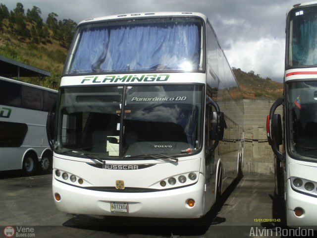 Expresos Flamingo 0090 por Alvin Rond�n