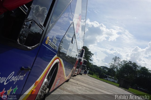 Expresos Occidente Gua 2019 75 por Pablo Acevedo