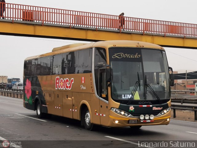 Transporte Flores Hermanos S.R.L 954 por Leonardo Saturno