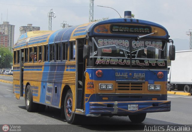Transporte Guacara 0051 por Andr�s Ascanio