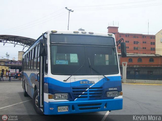 L�nea Arvelo 04 por Kevin Mora