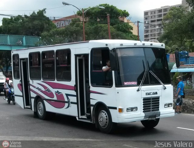 Organizaci�n Guaicamacuto 141 por Jes�s Valero