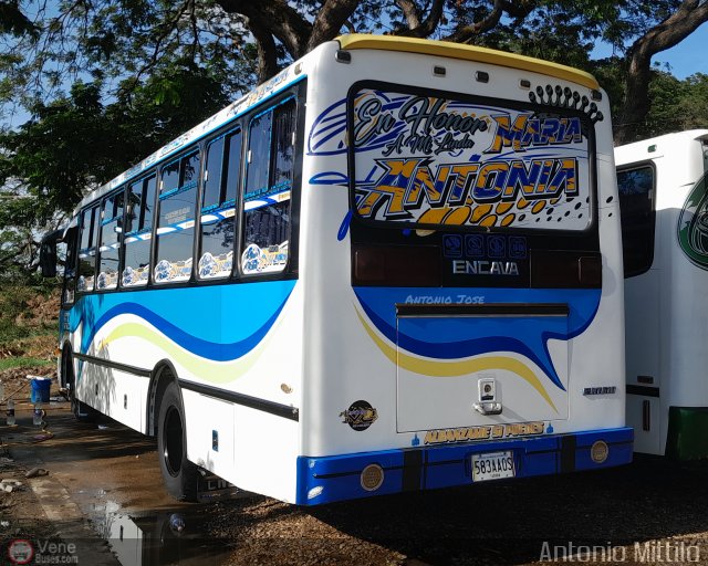 A.C. Transporte Paez 016 por Antonio Mittilo
