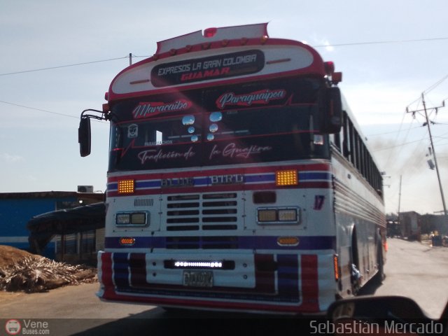 Expresos La Gran Colombia 17 por Sebasti�n Mercado