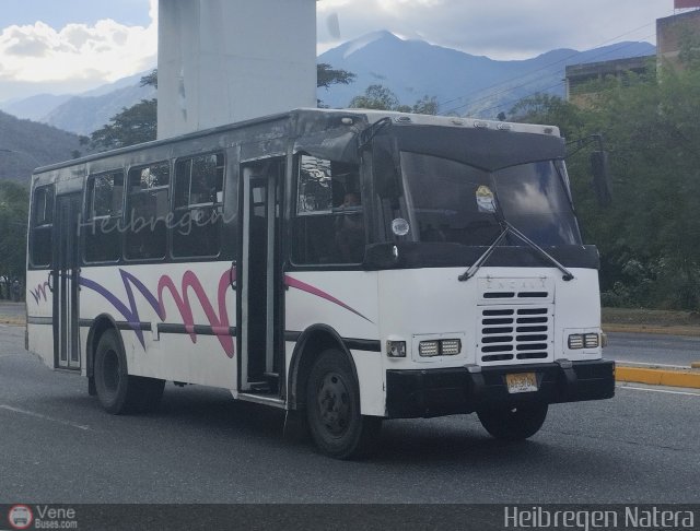 MI - L�nea Terepaima 989 por Heibregen Natera