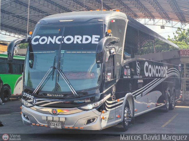 Cootransbol Ltda 37000 por Marcos David M�rquez