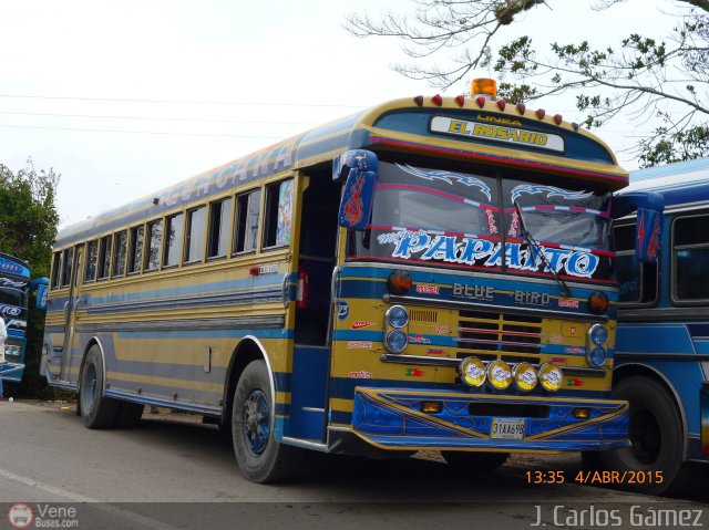 L�nea El Rosario 23 por J. Carlos G�mez