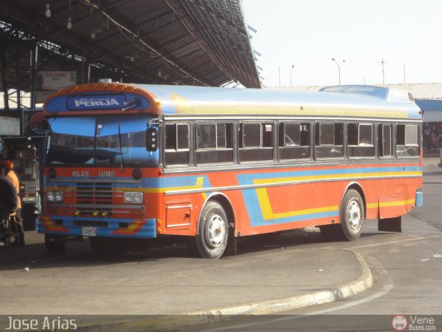 Colectivos Perij� 26 por Jos� Arias