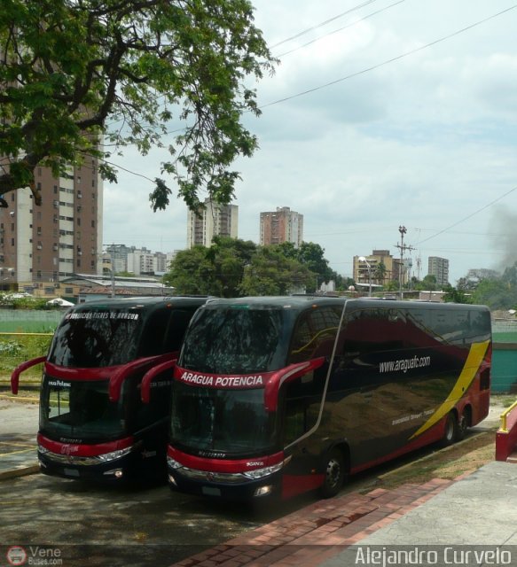 Tigres de Aragua B.B.C. 02 por Alejandro Curvelo