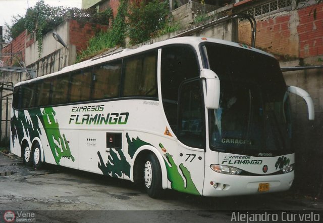 Expresos Flamingo 77 por Alejandro Curvelo