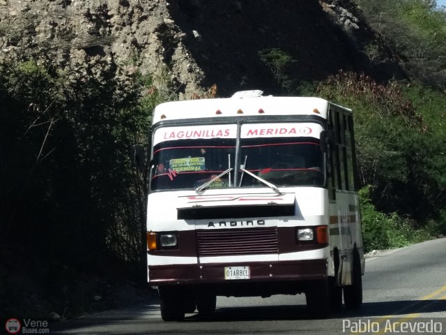 A.C. L�nea Lagunillas 01 por Pablo Acevedo