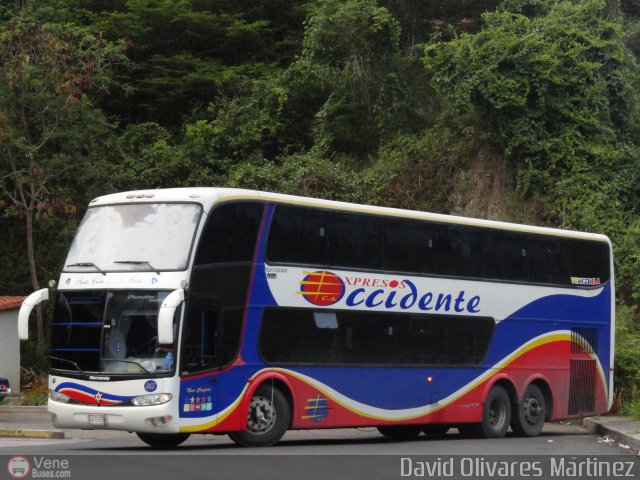 Expresos Occidente 365 por David Olivares Martinez