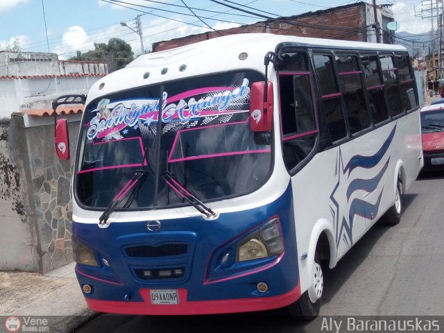 Particular o Desconocido 09 por Aly Baranauskas