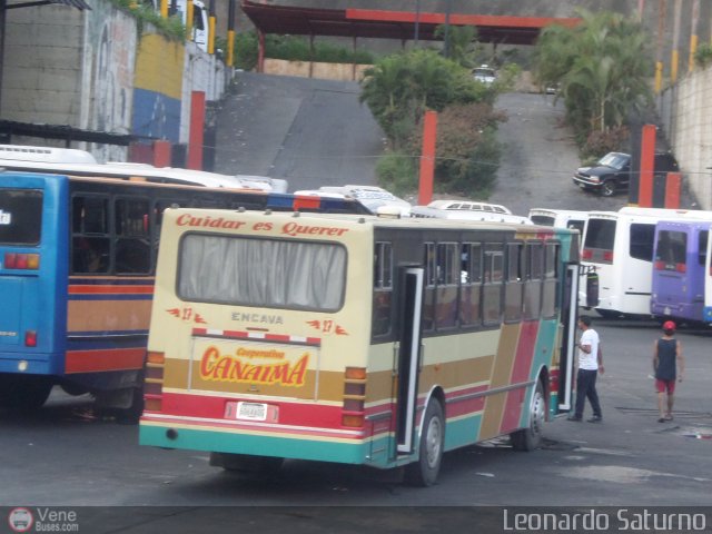 Cooperativa Canaima 27 por Leonardo Saturno