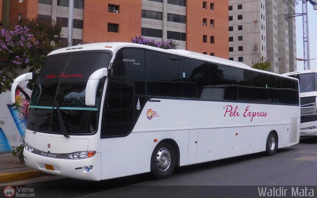 Peli Express 0002 por Waldir Mata