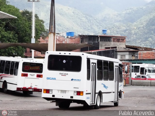 L�nea Uni�n Michelena Lobatera A.C. 16 por Pablo Acevedo