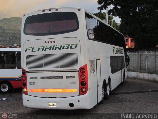 Expresos Flamingo 0065 por Pablo Acevedo