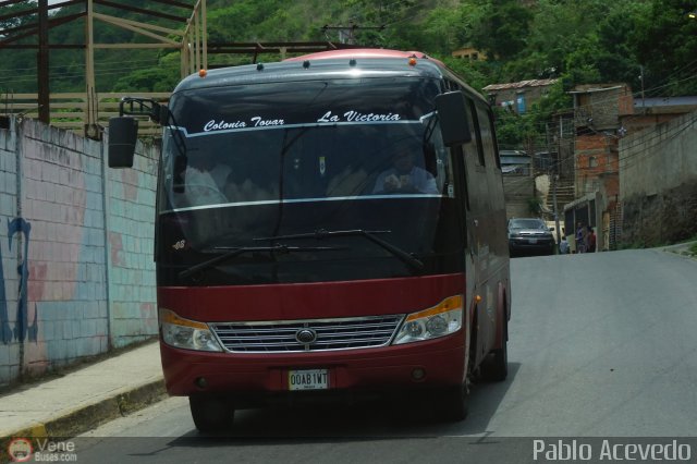 Unin Colonia Tovar C.A. 03 por Pablo Acevedo