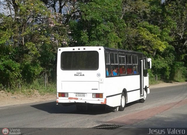 MI - A.C. L�nea La Rosa de Guatire 50 por Jes�s Valero