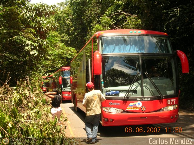 Copa Am�rica 077 por Alfredo Montes de Oca