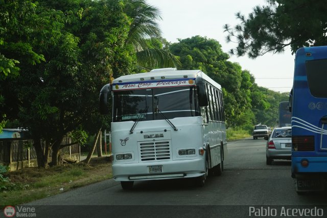 A.C. Pedraza 024 por Pablo Acevedo