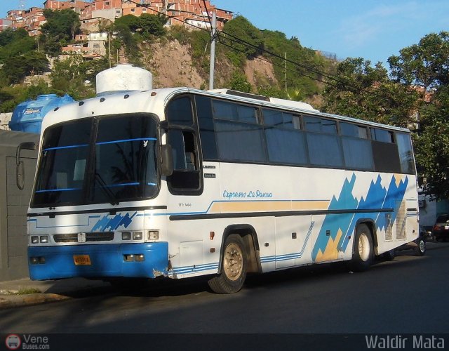 Autobuses La Pascua 008 por Waldir Mata