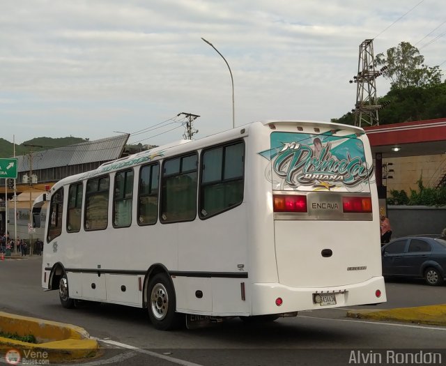 Colectivos El Vig�a 86 por Alvin Rond�n