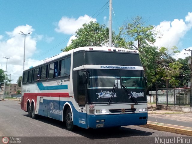 Expresos Del Sur 2025 por Miguel Pino