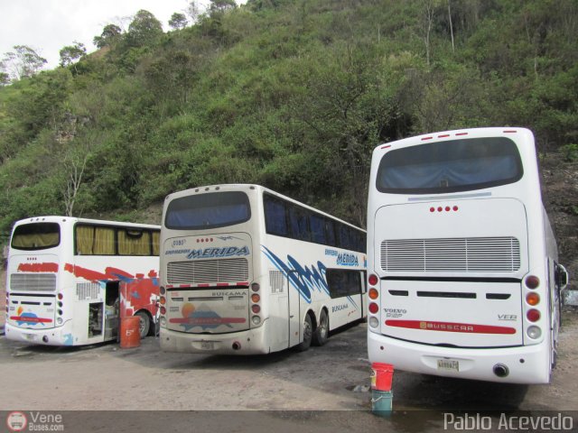 Garajes Paradas y Terminales Tariba por Pablo Acevedo