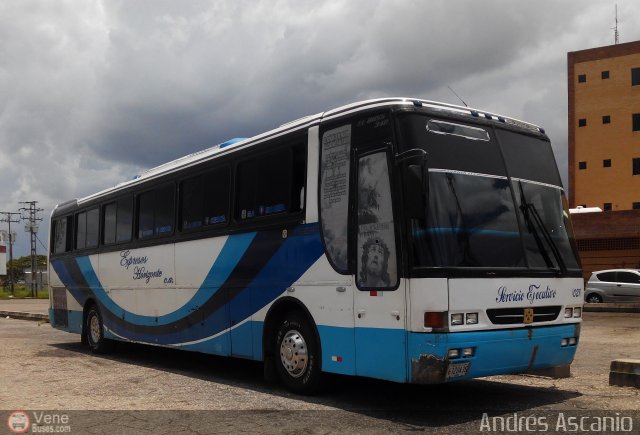 Expresos Horizonte 21 por Andr�s Ascanio