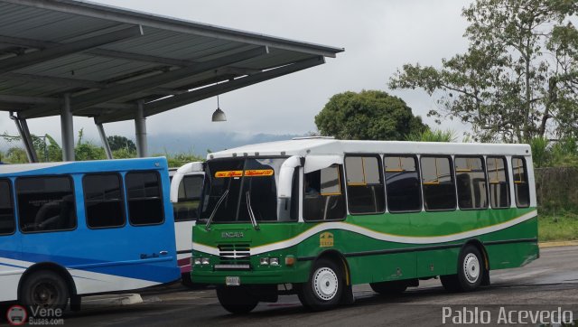 A.C. L�nea Mariscal 08 por Pablo Acevedo