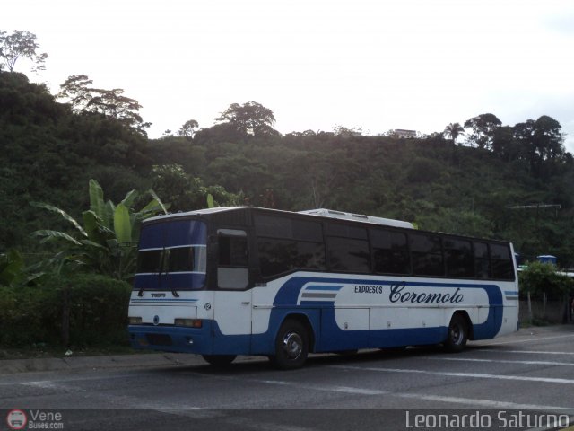 Expresos Coromoto 12 por Leonardo Saturno