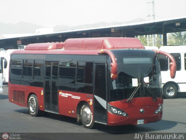 Particular o Desconocido 21 por Aly Baranauskas