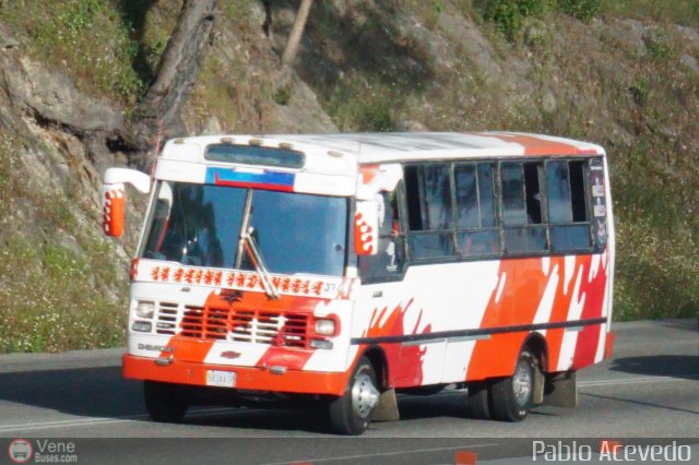 Particular o Desconocido Miranda por Pablo Acevedo