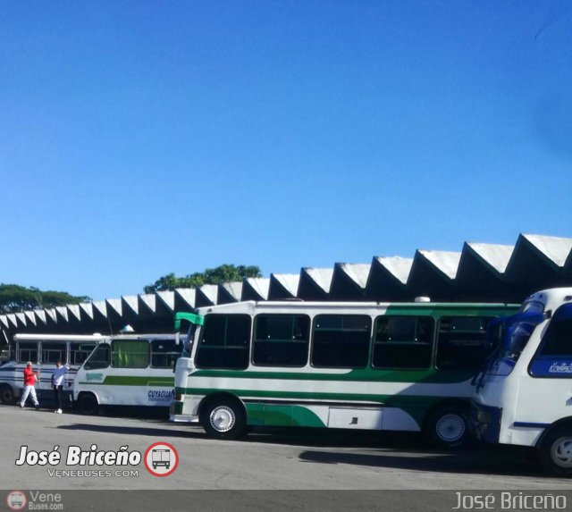 Garajes Paradas y Terminales Valera  por Jos� Brice�o