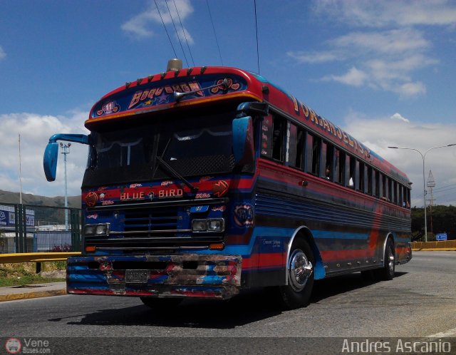 A.C. Boquer�n Express 11 por Andr�s Ascanio