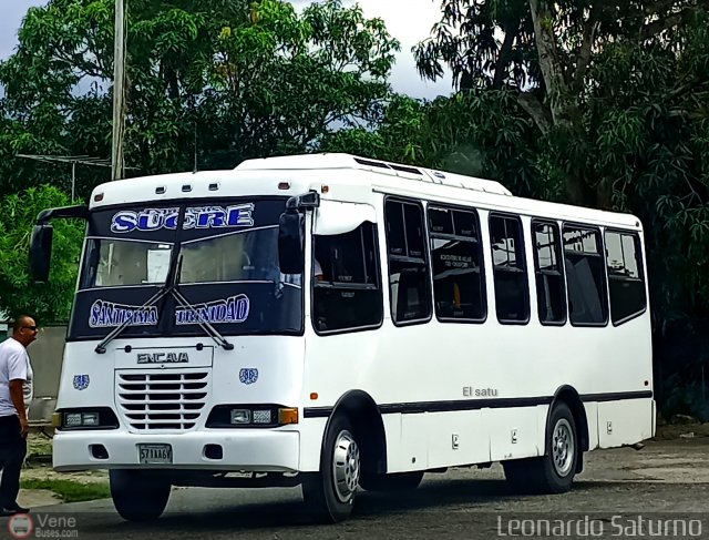 S.C.C. Expresos Sucre 088 por Leonardo Saturno