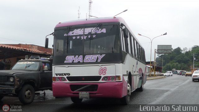 Particular o Desconocido 02 por Leonardo Saturno