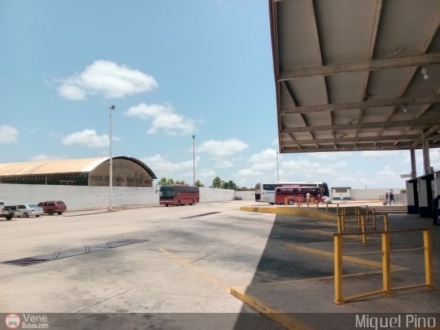 Garajes Paradas y Terminales El-Tigre por Miguel Pino