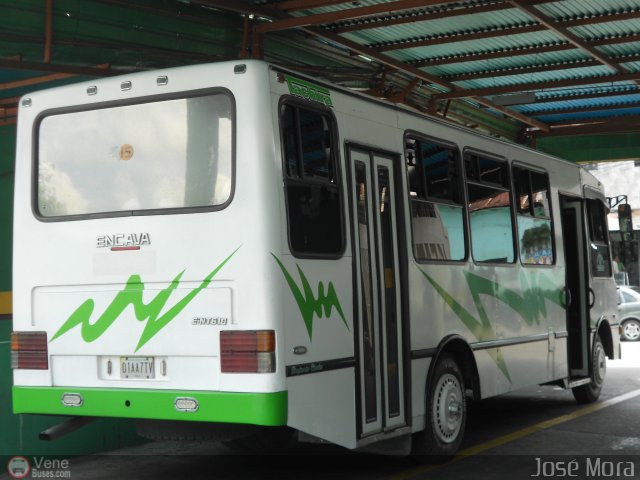 A.C. L�nea Col�n 15 por Jos� Mora