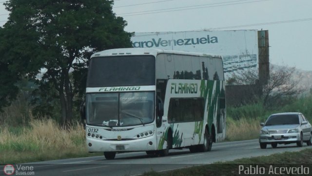 Expresos Flamingo 0132 por Pablo Acevedo