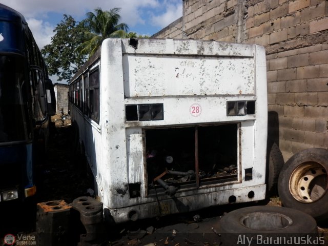 En Chiveras Abandonados Recuperaci�n 28 por Aly Baranauskas