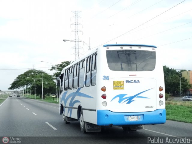 A.C. Indepasib 036 por Pablo Acevedo