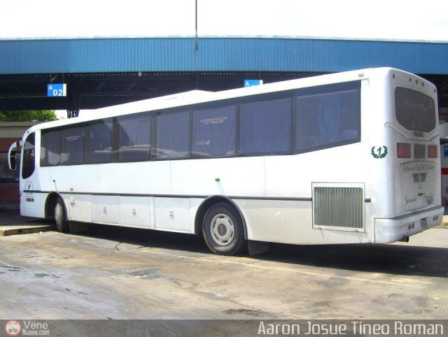 Servicios Especiales del Centro C.A. 01 por Alvin Rond�n