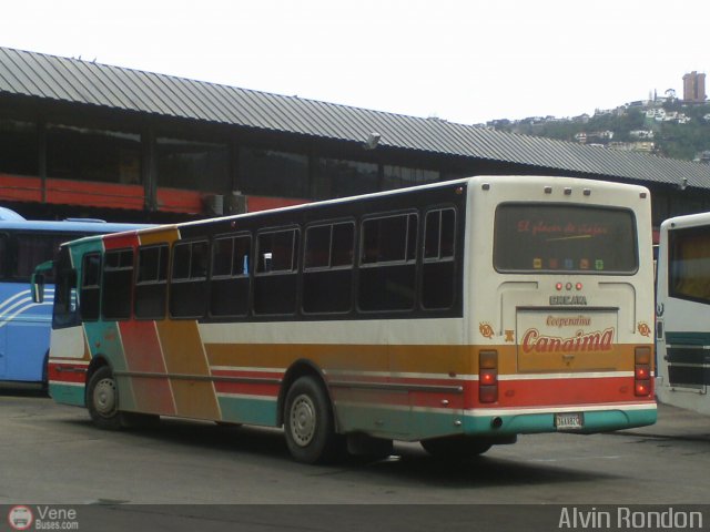 Cooperativa Canaima 10 por Alvin Rond�n