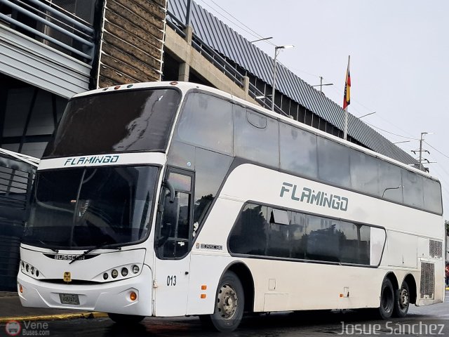 Expresos Flamingo 0013 por Josue S�nchez