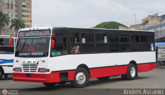Transporte Guacara 0161 por Andr�s Ascanio