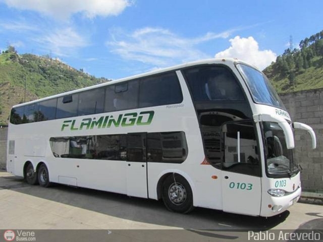 Expresos Flamingo 0103 por Pablo Acevedo