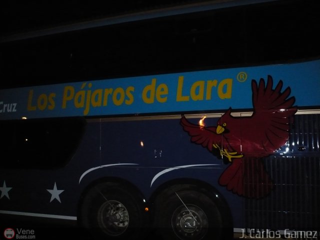 Los P�jaros de Lara 003 por J. Carlos G�mez